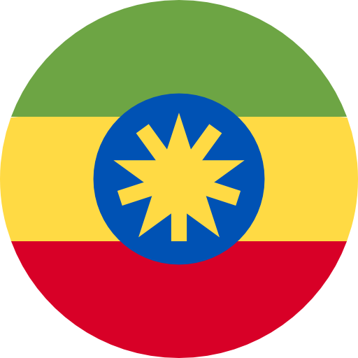 online send money Ethiopia