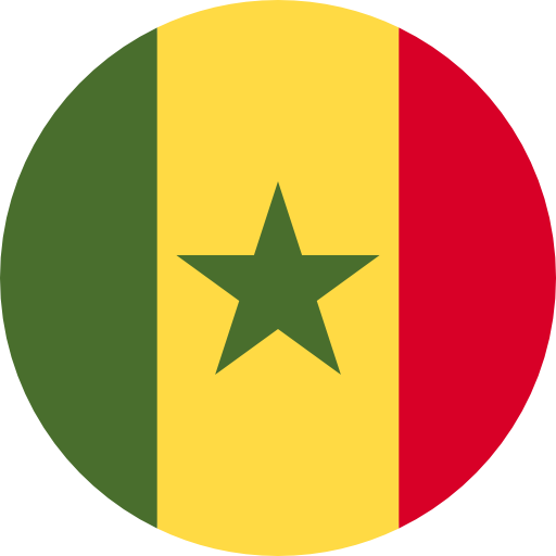 online send money Senegal