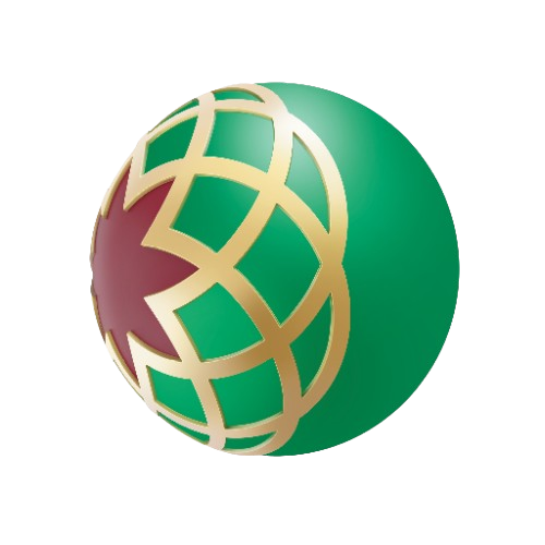 'Remit Choice ally DIB Paisa Wallet money transfer option on Remit Choice Pakistan landing page for fast and secure remittance
