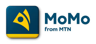 'Remit Choice ally HD Logo of MTN Momo on Remit Choice international money transfer website